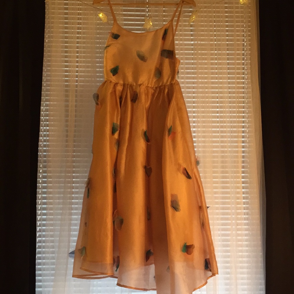 Rachel Antonoff for Anthropologie